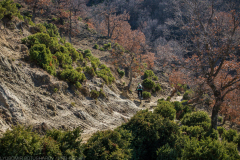 P2053591