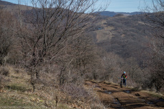 IMG_1442