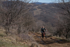 IMG_1445