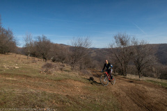 IMG_1447