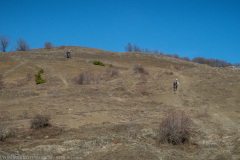 IMG_1459