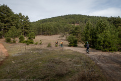 IMG_1500