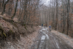 IMG_1508