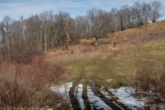 IMG_1530