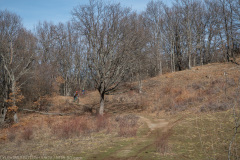 IMG_1532
