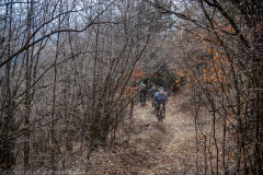 IMG_1539