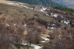 P2173691