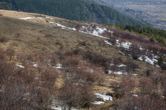 P2173692