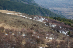 P2173693