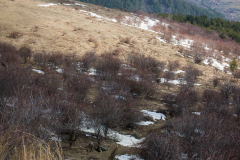 P2173697