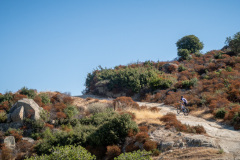 IMG_9256