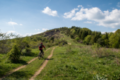 IMG_2332
