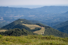 IMG_1795