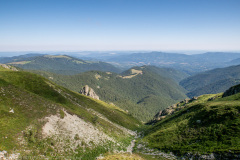 IMG_1801