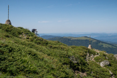 IMG_1863