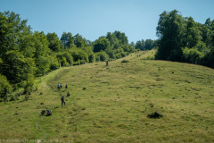 IMG_1889