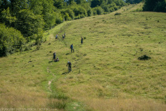 IMG_1892