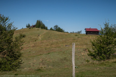 IMG_1893