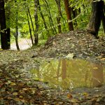 Home Mountain Bike Cup 2015