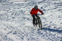 IMG_7299