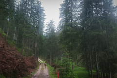 transalp-173