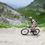 Ride Or Run 2015