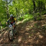Rocks N'Roll 2015