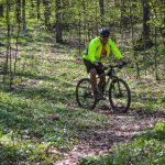 Rocks N'Roll 2017