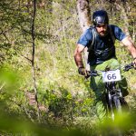 Rocks N'Roll 2017