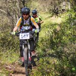 Rocks N'Roll 2017