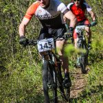 Rocks N'Roll 2017