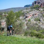 Rocks N'Roll 2017