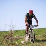 Rocks N'Roll 2017