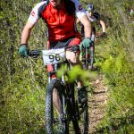 Rocks N'Roll 2017