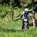 Rocks N'Roll 2017