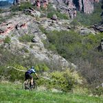 Rocks N'Roll 2017