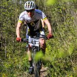 Rocks N'Roll 2017