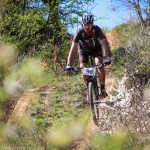 Rocks N'Roll 2017
