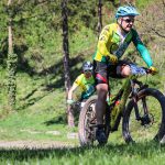 Rocks N'Roll 2017