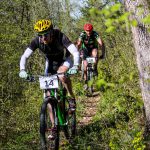 Rocks N'Roll 2017