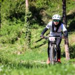 Rocks N'Roll 2017