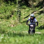 Rocks N'Roll 2017