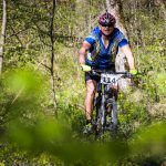 Rocks N'Roll 2017