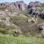 Rocks N'Roll 2017