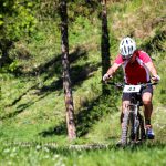 Rocks N'Roll 2017