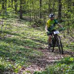 Rocks N'Roll 2017