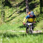 Rocks N'Roll 2017
