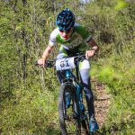 Rocks N'Roll 2017