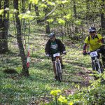 Rocks N'Roll 2017