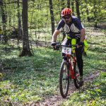 Rocks N'Roll 2017